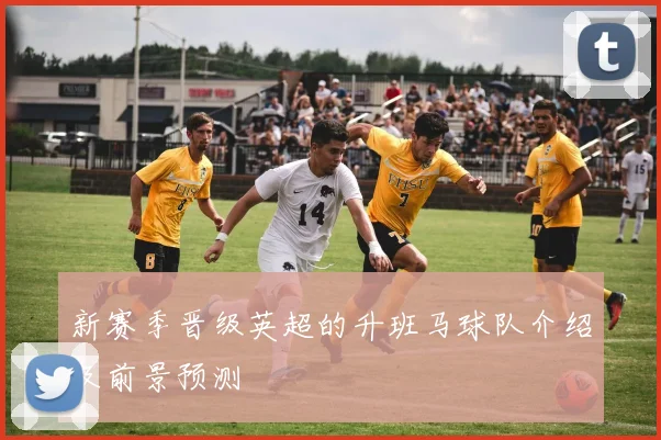 新赛季晋级英超的升班马球队介绍及前景预测